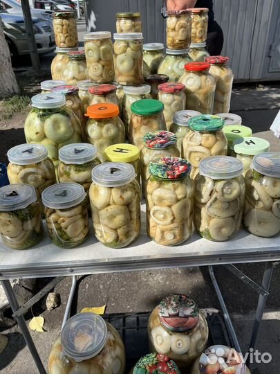 Грибы Грузди соленые