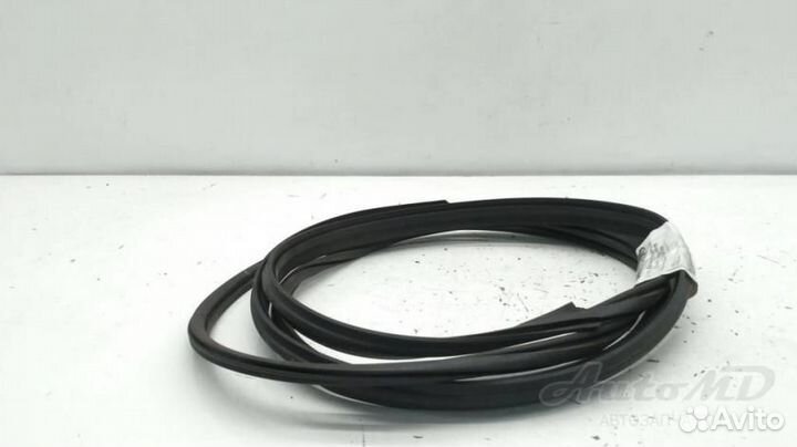 Уплотнитель стекла заднего Fiat Albea