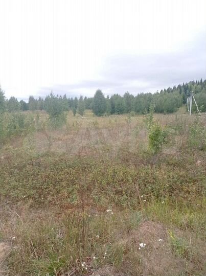 Участок 3,5 сот. (СНТ, ДНП)