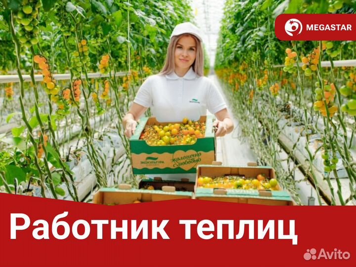 Работник теплицы