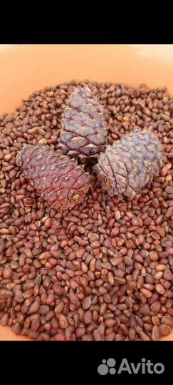 Рыба, ягоды, орехи