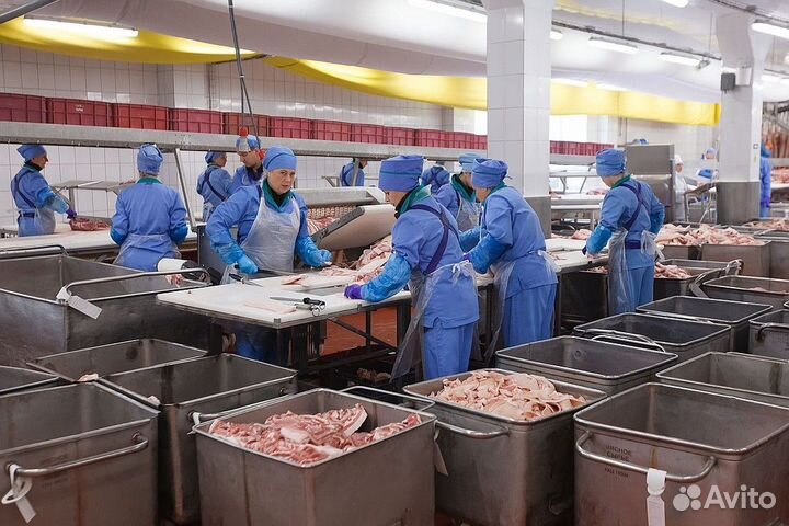 Грузчики на мясокомбинат (вахта)