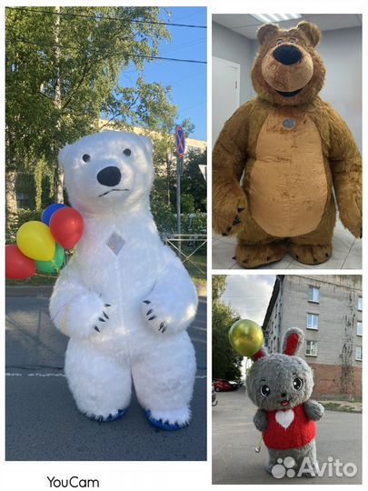 Большой белый мишка (2,6 метра), поздравления