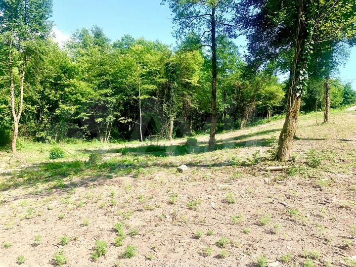 Участок 8 сот. (ИЖС)