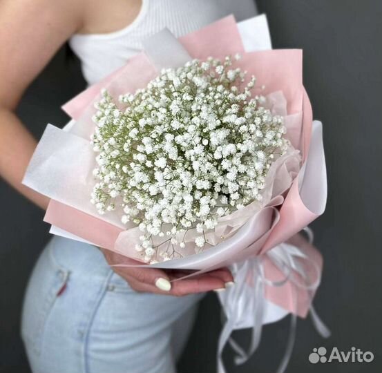 Гипсофила Метельчатая (рассада)