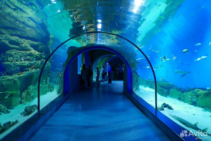 Билеты в Москвариум