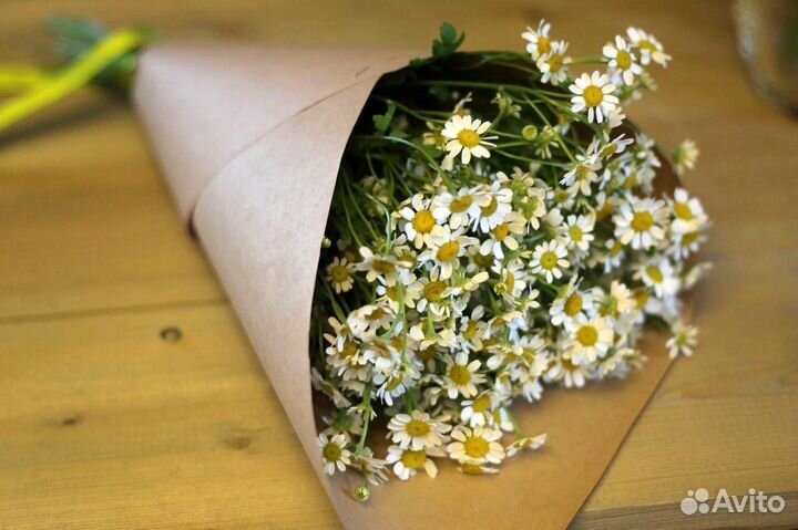 Матрикария