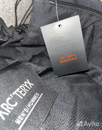 Арктерикс весенняя