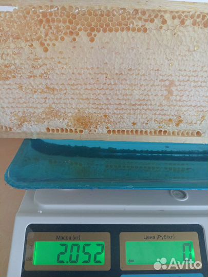 Сотовый мед