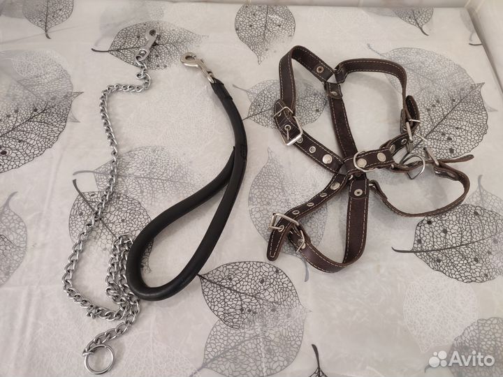 Шлейка для собаки большая