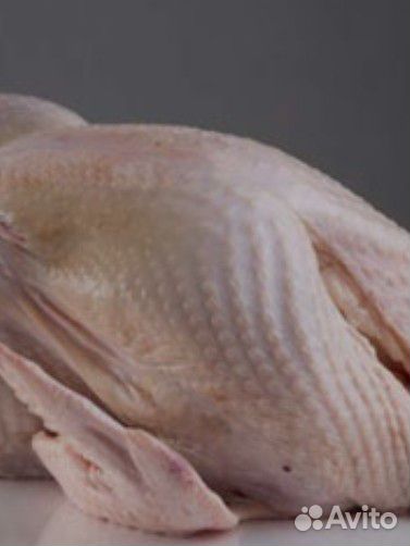 Мясо индюшки