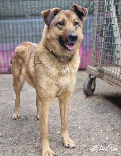 Жду тебя мама