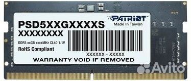 Patriot PSD516G560081S