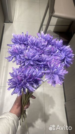 Букет хризантем 15 штук декоративные