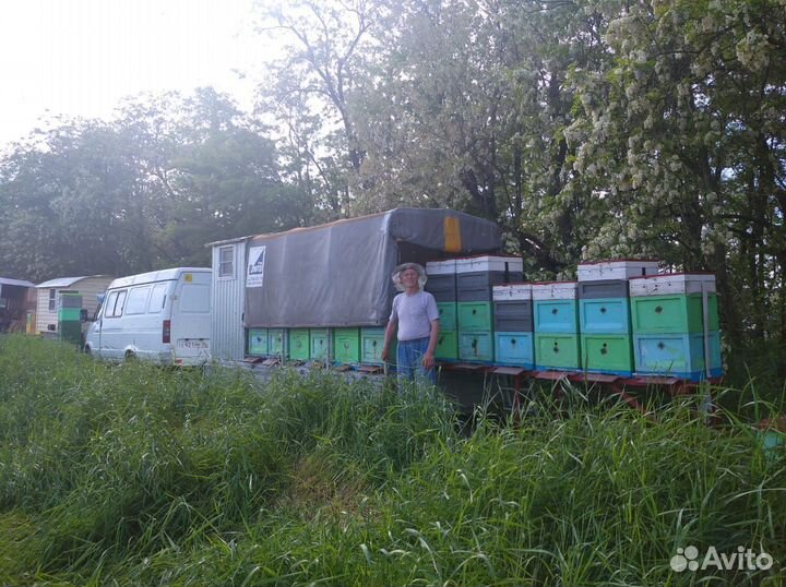 Прицеп двух осный