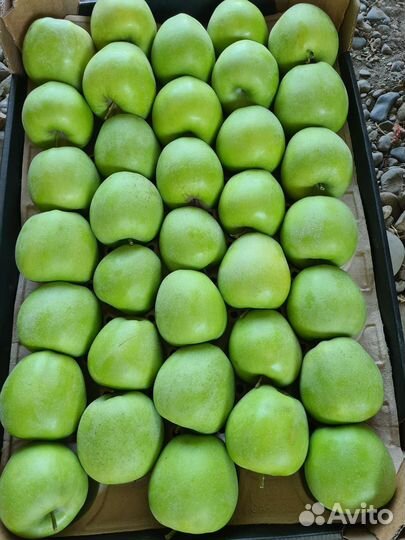 Яблоки оптом