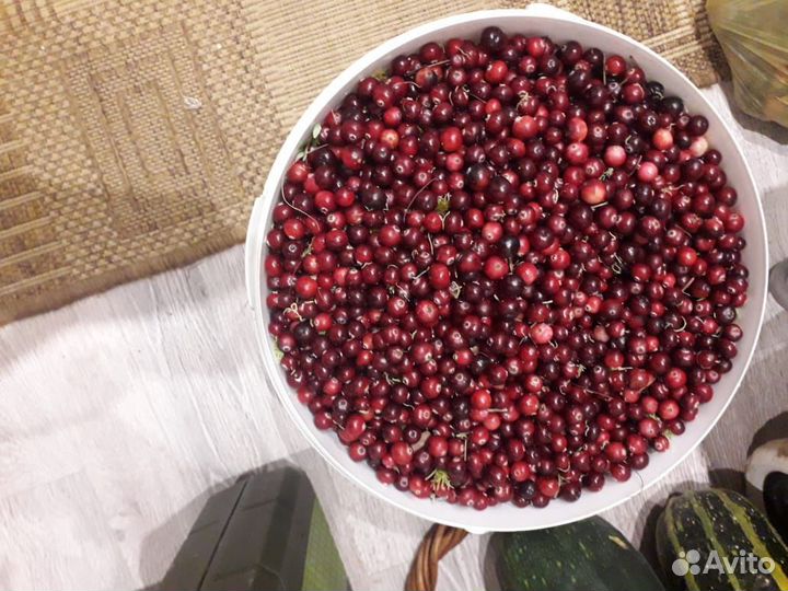 Домашние заготовки, варенье