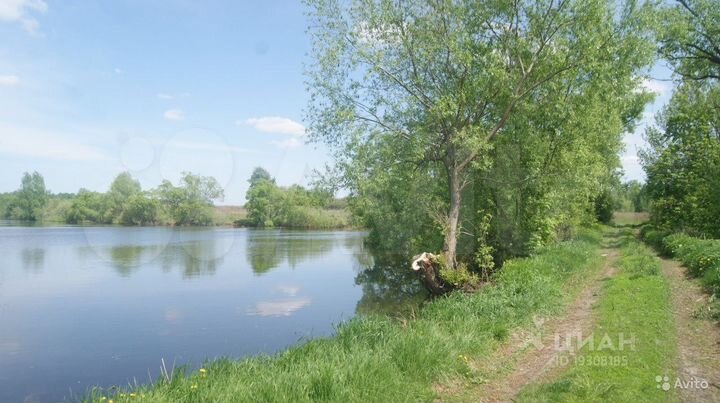 Участок 78 сот. (ИЖС)