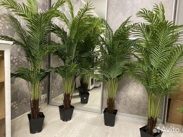 Искусственные деревья. Искусственные пальмы