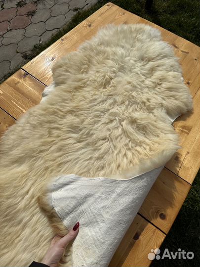 Овечьи шкуры белые не стриженные