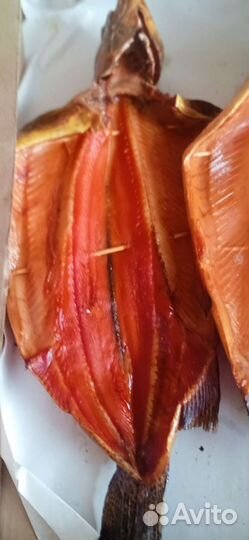 Рыба свежая и свежемороженая сырок