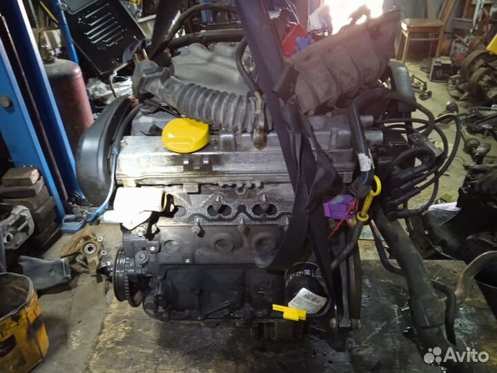 Двигатель x16xel опель вектра б дорестайл