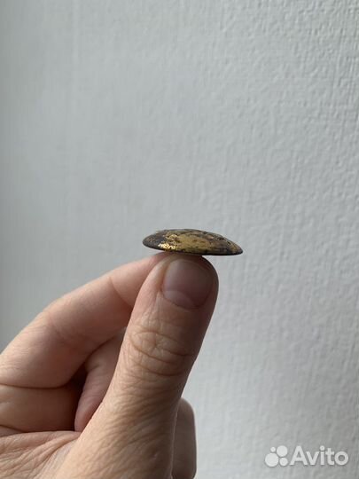 Пуговица царская военная