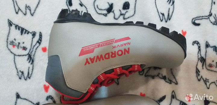 Лыжные ботинки nordway