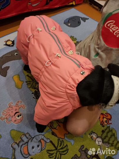 Зимний комбинезон для собаки