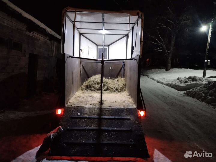 Коневоз Перевозка животных и спорт инвентаря