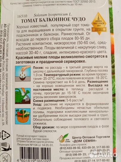 Рассада томата Балконное чудо