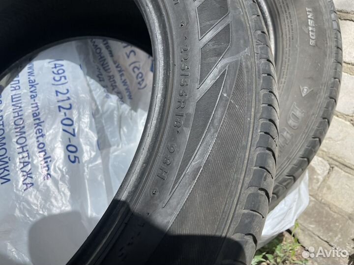 Bridgestone Blizzak DM-V1 225/55 R18