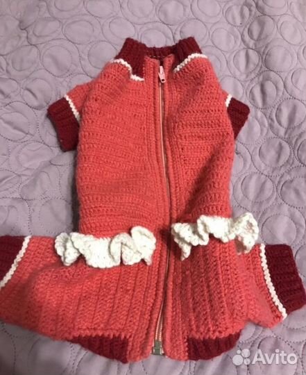 Одежда для маленькой собачки зима