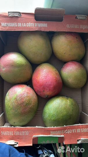 Манго фрукты овощи