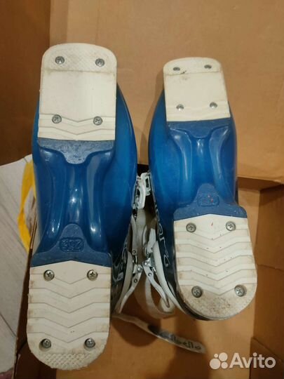 Горнолыжные ботинки dalbello