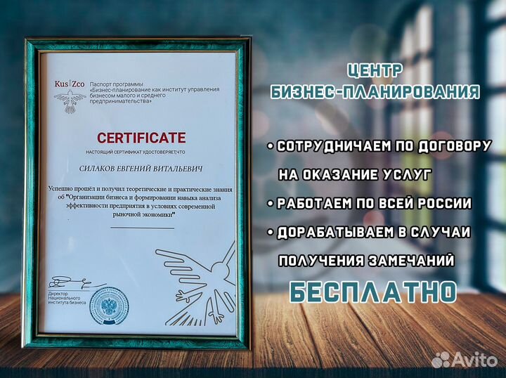 Бизнес-План для социального-контракта с гарантией