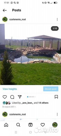 Рулонный/Посевной Донской газон