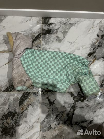 Одежда для собак средних пород