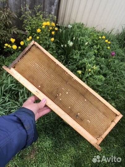 Рамка сушь для пчел