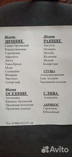 Саженцы груши и яблони