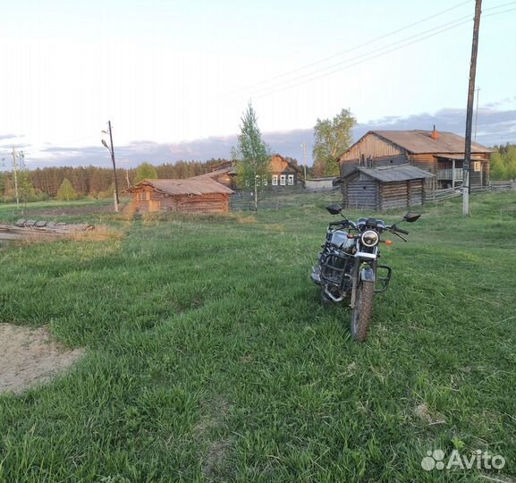 Мопед alpha 110