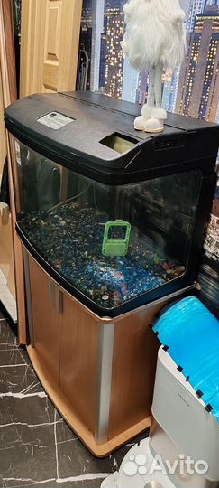 Продаю аквариум джебо 375