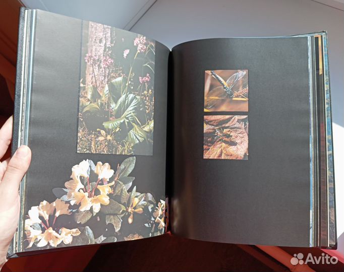 Книга Это - Байкал