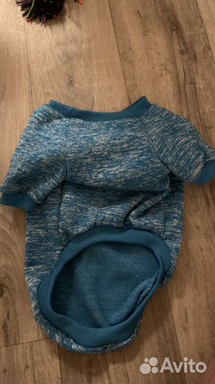 Одежда для собак