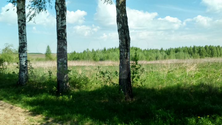 Участок 10 сот. (ИЖС)