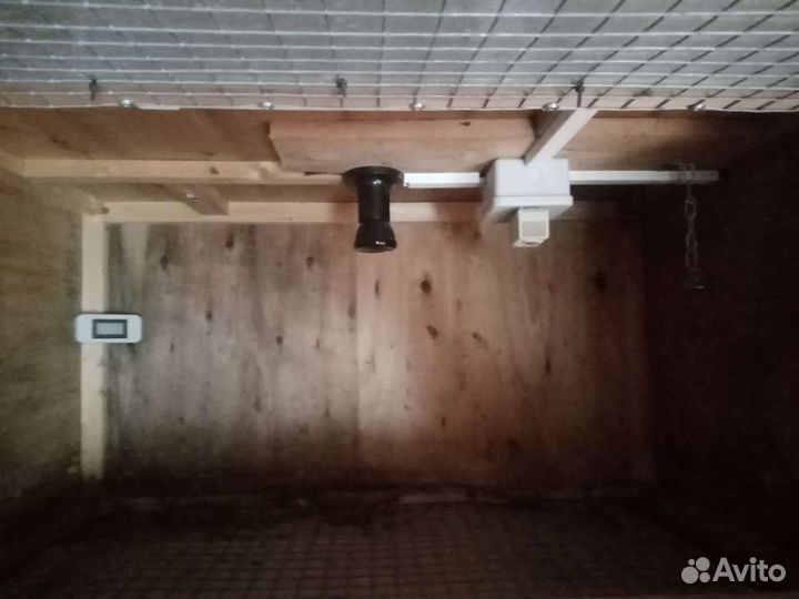 Брудер для цыплят