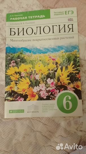 Рабочим тетради 6 класс