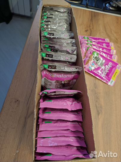 Влажный корм для котят