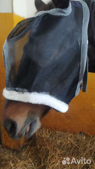 Противомоскитная маска