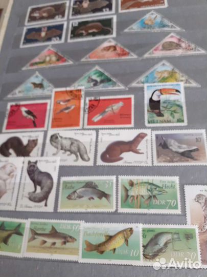 Альбом с марками